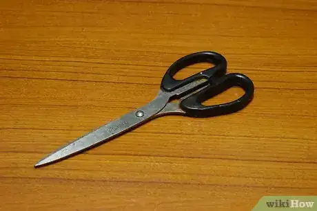 Image titled Grow Flowering Plants Through Stems Step 6