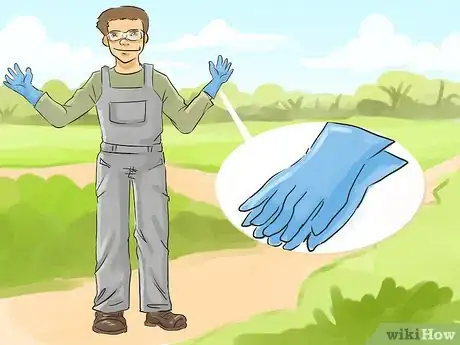 Image titled Prune a Magnolia Tree Step 11