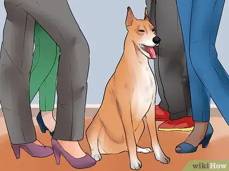 Image titled Choose the Right Dog Breed to Protect Your Home Step 5