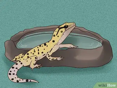 Image titled Care for a Leopard Gecko Step 8