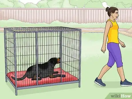 Image titled Identify a Bluetick Coonhound Step 13