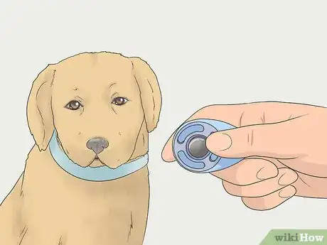 Image titled Teach a Dog to Bow Step 5