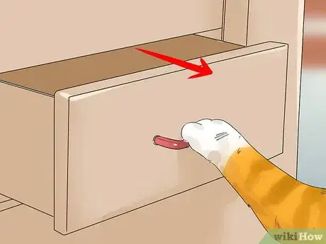 Image titled Identify a Cymric Cat Step 12