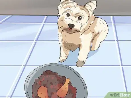 Image titled Comfort Your Sick Dog Step 17