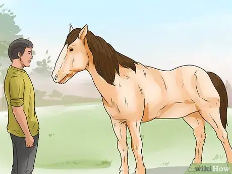 Image titled Make a Horse Stop Rearing while Riding Step 7