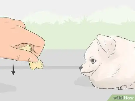 Image titled Teach a Dog to Bow Step 11