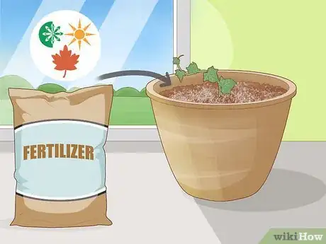 Image titled Keep an Ivy Plant Healthy Step 5