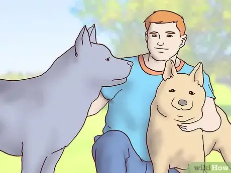 Image titled Choose a GPS Dog Collar Step 11