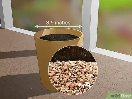 Image titled Grow Oca Step 2