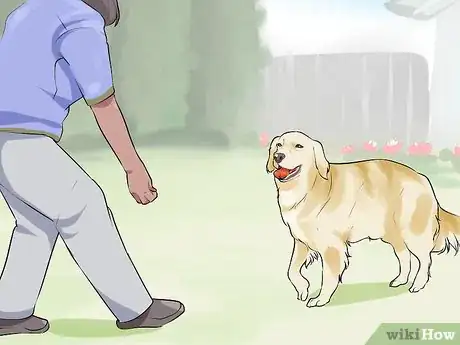 Image titled Do Short Training Sessions with Your Hunting Dog Step 6