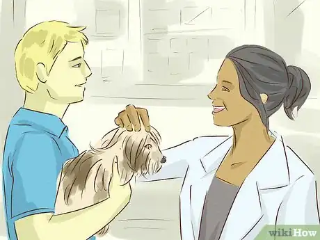 Image titled Be an Animal Lover Step 12