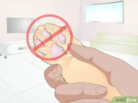 Image titled Keep a Cat Healthy Step 17