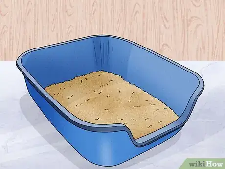 Image titled Care for an American Bobtail Cat Step 13