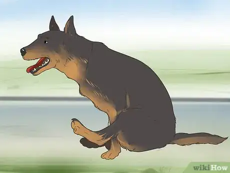 Image titled Diagnose Canine Anal Sac Problems Step 3