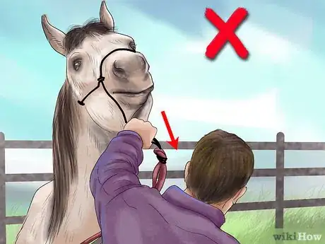Image titled Get a Horse to Put Its Head Down Step 7