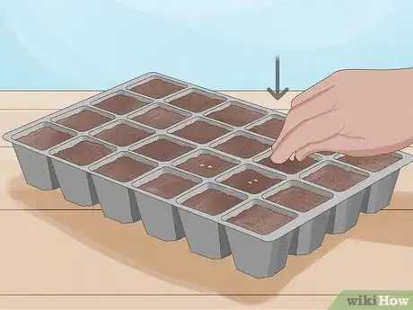 Image titled Grow Vegetables in New England Step 7