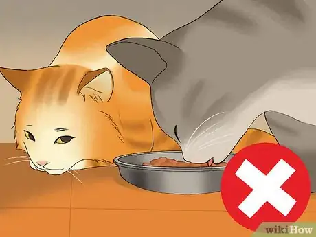 Image titled Eat Without a Cat Begging Step 8