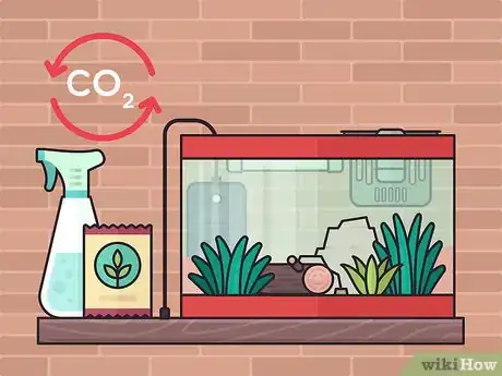 Image titled Set Up a Plant‐Only Aquarium Step 11