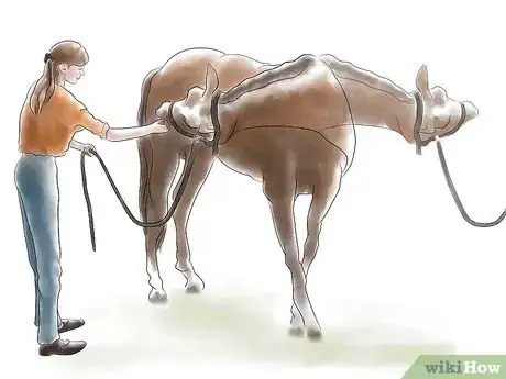 Image titled Stretch a Horse Step 2