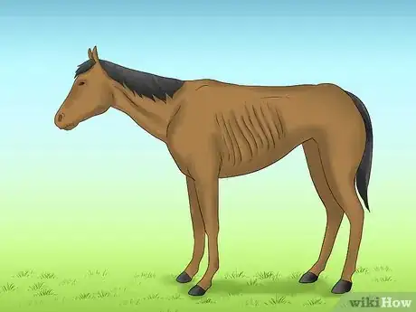 Image titled Avoid Poisoning Your Horse Step 10