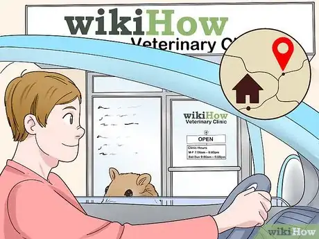 Image titled Choose a Vet for Your Gerbil Step 6