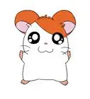 Draw Hamtaro
