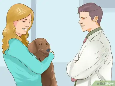 Image titled Diagnose Behavioral Dysfunction in Senior Dogs Step 6