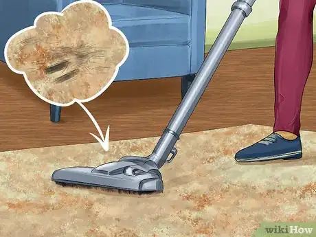 Image titled Get Dog Smell Out of the Carpet Step 1