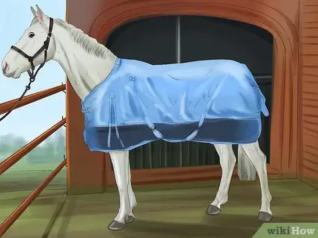 Image titled Care for Your Horse In the Winter Step 1