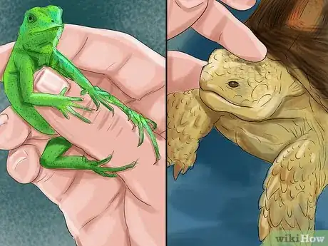 Image titled Choose the Right Reptile as a Pet Step 4
