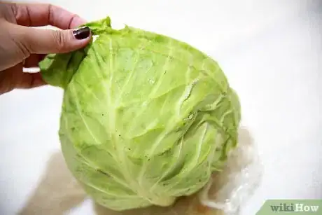 Image titled Cook Cabbage Step 2