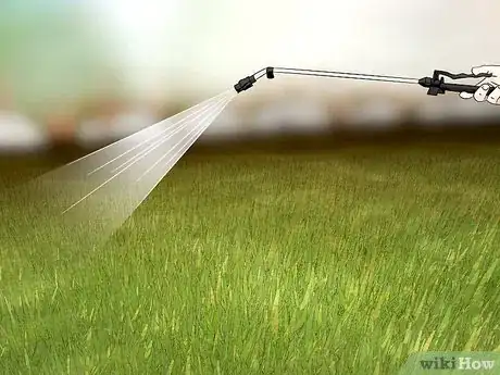 Image titled Get Rid of Japanese Beetles Step 11