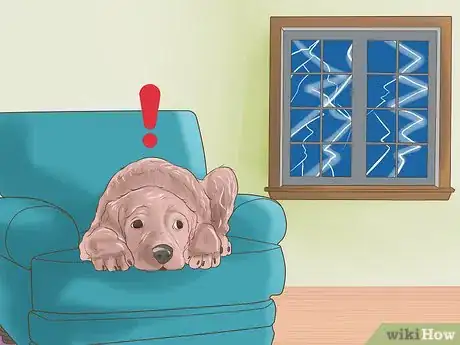 Image titled Diagnose Behavioral Dysfunction in Senior Dogs Step 3