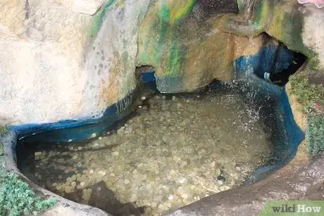 Image titled Get the Love of Christ Step 9