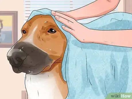 Image titled Groom a Longhair Dog Step 10