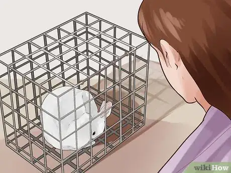 Image titled Choose Rabbit Food Step 10