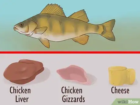 Image titled Catch Flathead Catfish Step 4