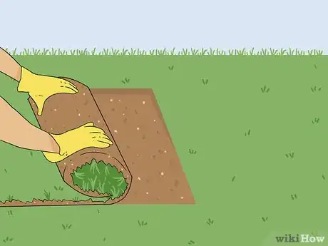 Image titled Bring Back Dead Grass Step 11