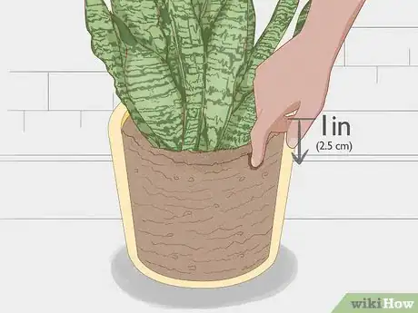Image titled Prevent over Watering in House Plants Step 1
