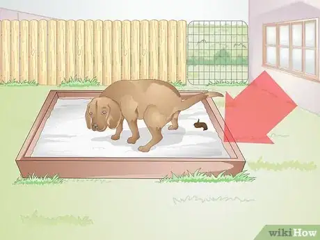 Image titled Prepare Your Yard for a Dog Step 11