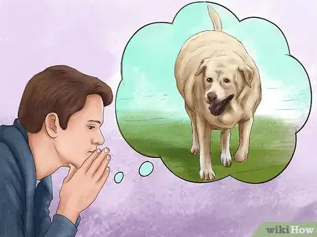 Image titled Treat Obesity in Labrador Retrievers Step 13