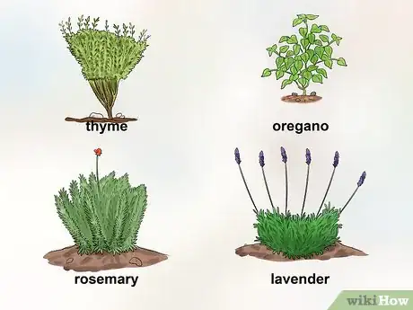 Image titled Garden in a Mediterranean Climate Step 1