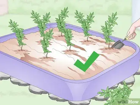 Image titled Make a Sandbox Garden Step 15