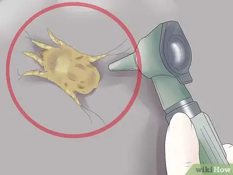 Image titled Remove Ear Mites from a Dog Step 16