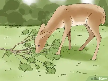 Image titled Feed Deer Step 5