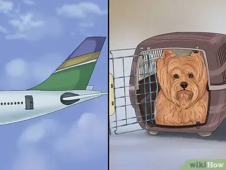 Image titled Travel Safely With Dogs Step 4