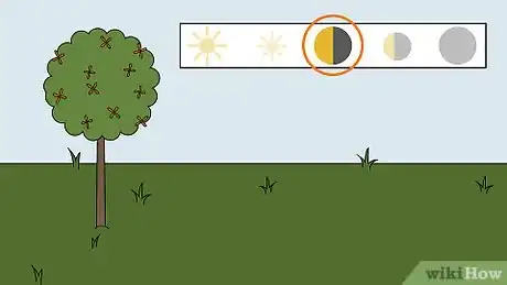 Image titled Plant Columbine Step 8