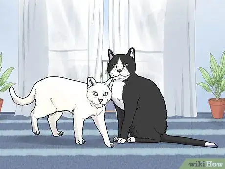 Image titled Fix Clinginess in Cats Step 10