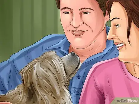 Image titled Help an Abused Dog Step 10