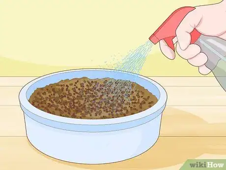 Image titled Grow Arugula Microgreens Step 3